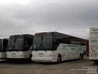 Limocar 878-05-3 - Vert et Or - Universit� de Sherbrooke