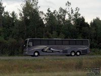 Pr�f�rence 5331 - Van Hool C2145