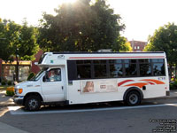 Soci�t� de transport de Trois-Rivieres - STTR 0801 - 2008 Ford E450 - Girardin G5