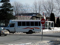Soci�t� de transport de Trois-Rivieres - STTR 1031 - 2003 Ford / Girardin - Transport adapt�
