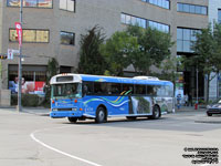 Tours du Vieux-Qu�bec 40 - 2008 Blue Bird TC3000