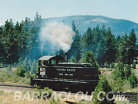 WP 501 - SW1 - On display at WPRM