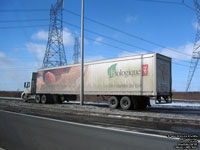Loblaws biologique c�r�ales carr�s de bl�
